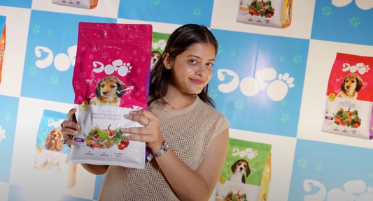Woof... woof! Our grand launch is here! 🐾 🐾
