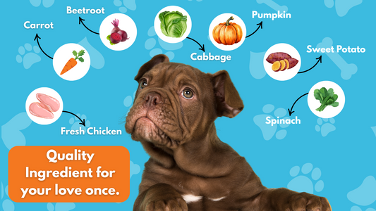Why Real Chicken and Vegetables Are Great for Your Dog’s Health