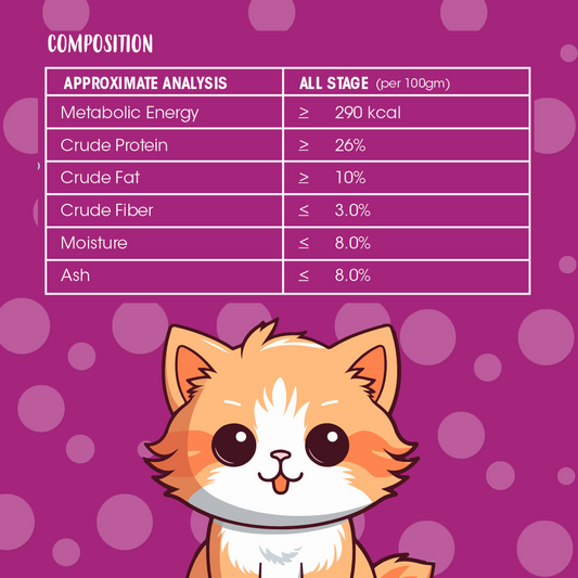 MeWoW All Stage