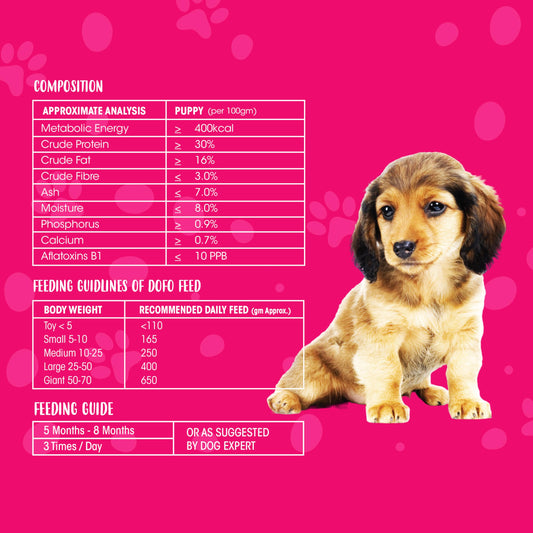 DoFo Puppy Gold
